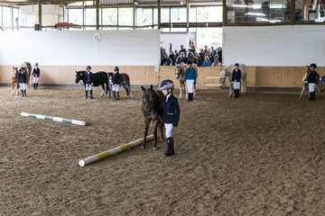 Bild 101 - Pony Akademie Turnier